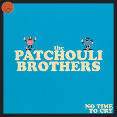 Mix of the Week #407: the Patchouli Brothers - No Time To Cry
