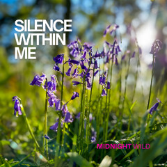 Silence Within Me