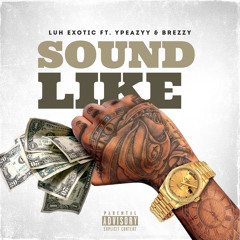 sound like ft. ypeazyy & brezzy