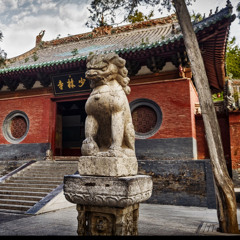 Shaolin (Ft. Awed & Killah Dan)