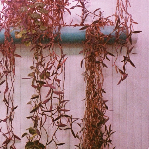 Threes (Prod. Ill Instrumentals)