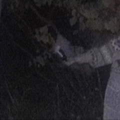 しののめ - ロウライト