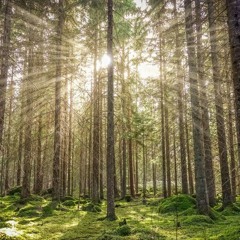 NATURAL LANDSCAPES