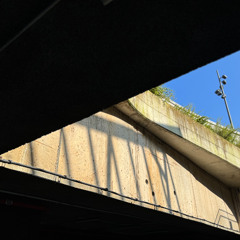 Tasha - 15 December 2025