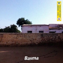 Apricot 31: Basma