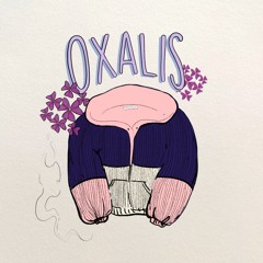 Oxalis
