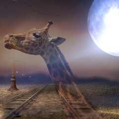 Giraffe & Moonlight, trio*