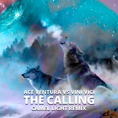Ace Ventura vs. Vini Vici - The Calling (Camel Light Remix)