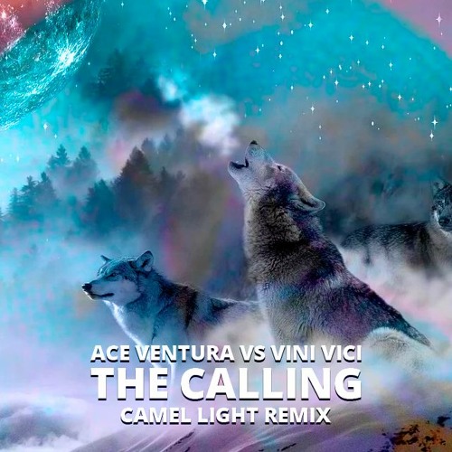 Ace Ventura vs. Vini Vici - The Calling (Camel Light Remix)