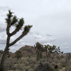 Don't Think Too Much