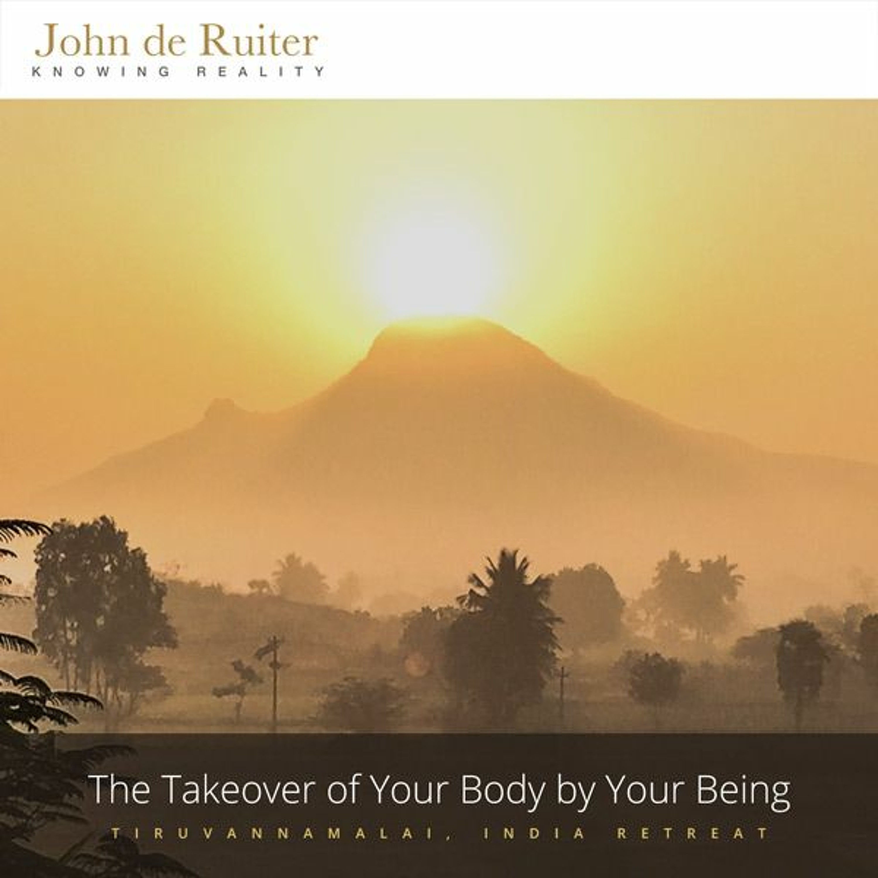 354 - Creating a Being Ecosystem in the Self - 3 of 5 episode artwork