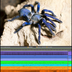 (Psychedelic-Trance-Crazy-Dark-Hitech) Track No: 6110.