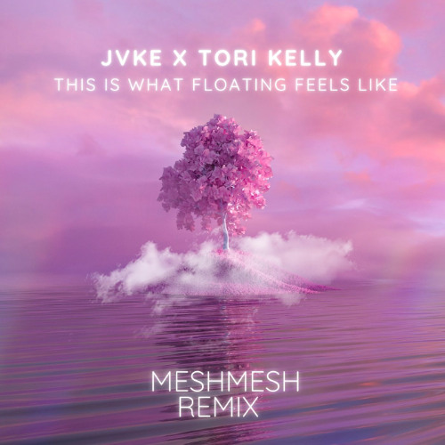 JVKE x Tori Kelly - this is what floating feels like ( MESHMESH Remix )