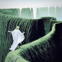 i can see [luca celenza/icami/turro]