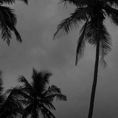 Vibration - Latin Trap Instrumental Beat