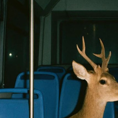 i've had to protect myself from a lot.