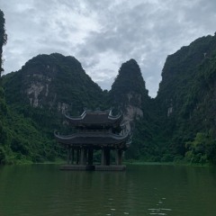 Took The Night - Thái Hải