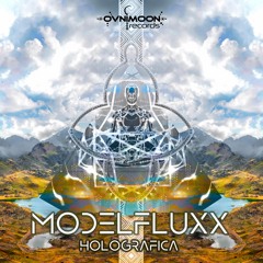 02 - ModelFluxX - Total Expression