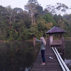 Agile Gibbon (Hylobates agilis)