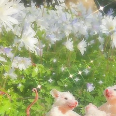 butterfly//field of flowers** (prod. neverforever)