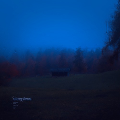 sleepless (8D Version)