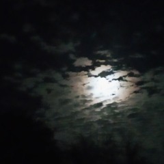 30. Okt.,  How High The Moon.mp3