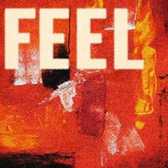 Avi Snow, MVCA & Zeeba - Feel (MRTD Remix)