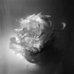 24 moons 30 November