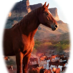 Red Wind's Last Ride Home-pdc