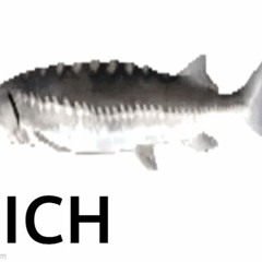 HRDSTYLE X TRP -N64- Slider Track