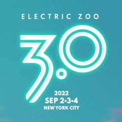 Armin van Buuren - Electric Zoo 2022 Live Set