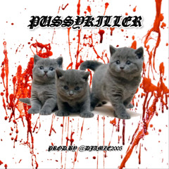 PUSSYKILLER [PROD.BY @DJAMZE2005]