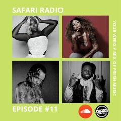 SAFARI RADIO EPISODE #11