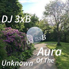 Aura Of The Unknown