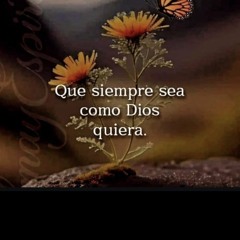 Tu _Voluntad_ Se_ Haga _En _Mi _Vida 🌷 My_Stubborn_ Will 🌸