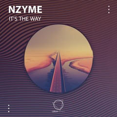 Nzyme - It's The Way (LIZPLAY RECORDS)