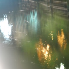 swollowed by a whale but its ok