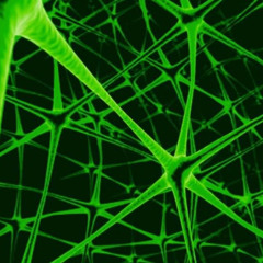 stryfir - syNNCC mix