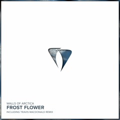 PREMIERE: Walls of Arctica - Frost Flower (Original Mix) [Agara Music]