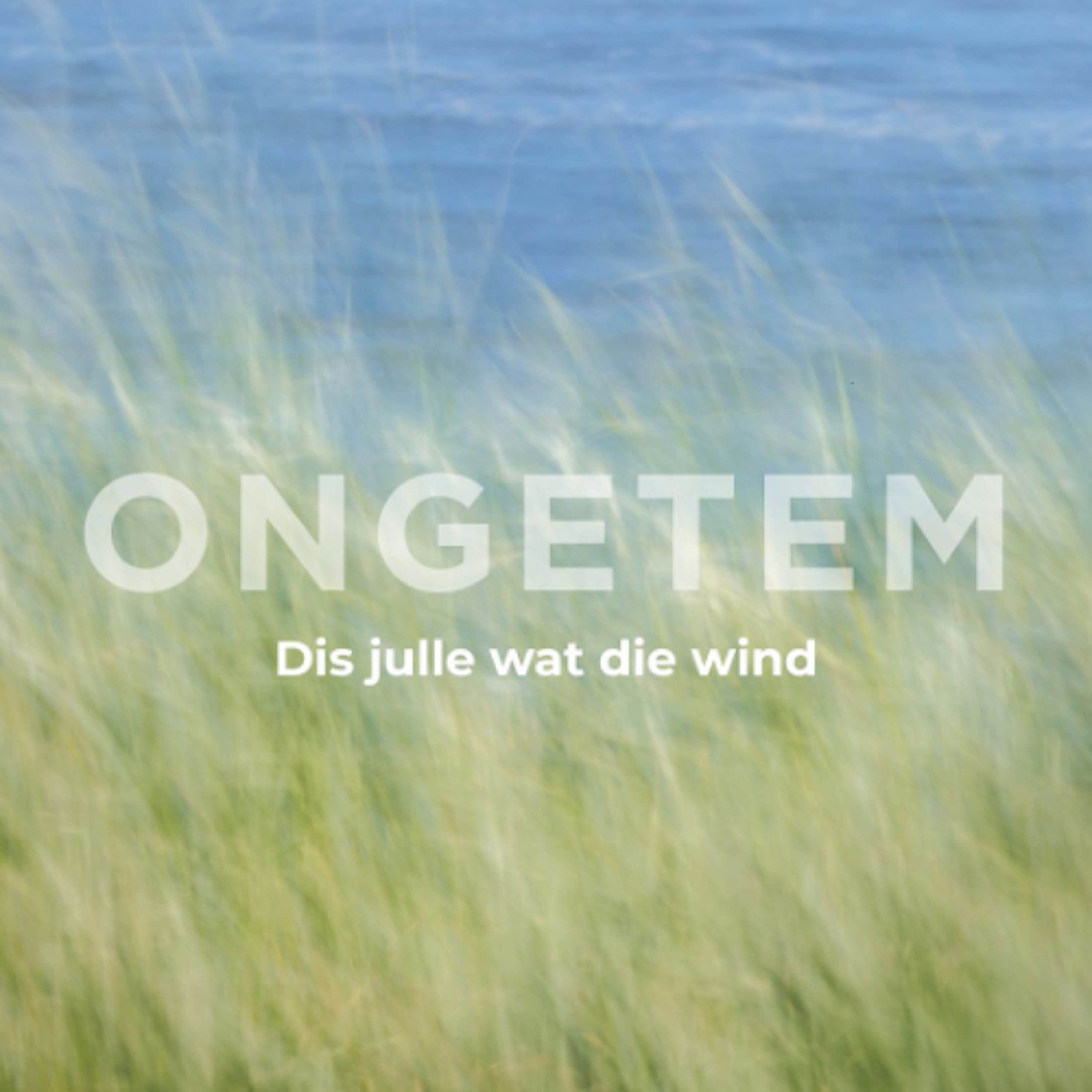 Ongetem: Dis julle wat die wind deur Deon Meiring