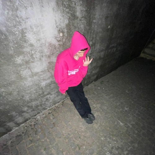 HARANCZYKOV - BIRKIN,BIRKIN! / Haranczykov fan - spotify