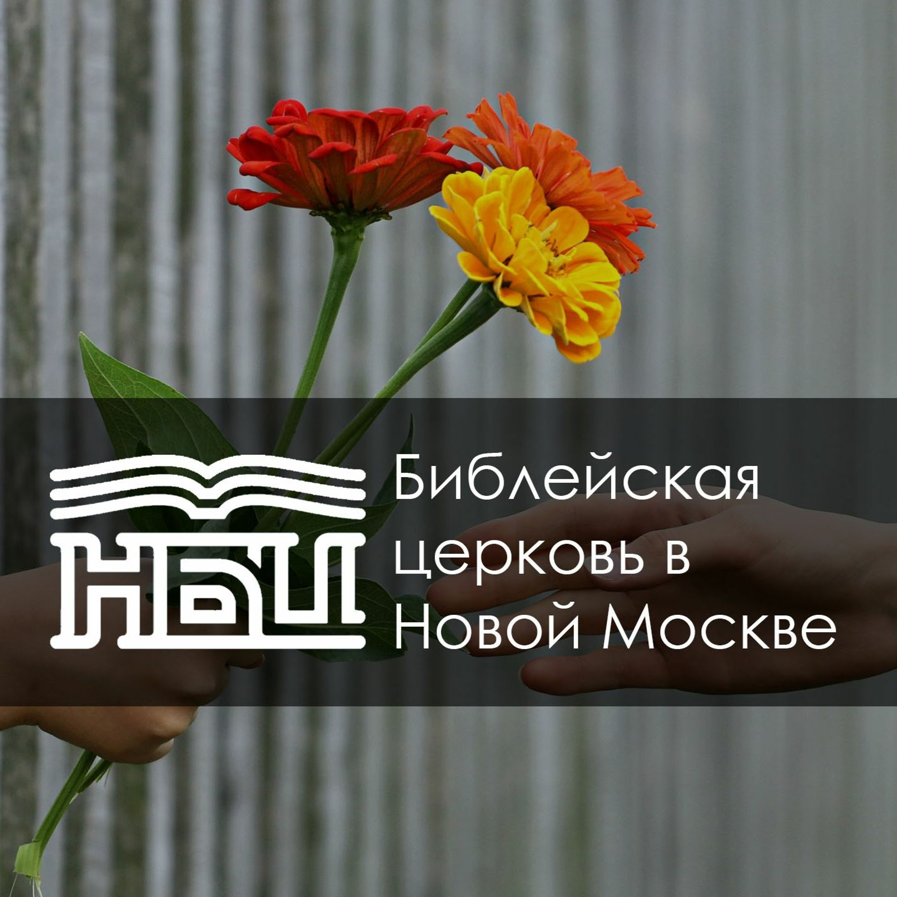 1 Царств 2:1-10 - Святые реакции на благодать Божью 1 Царств 2:1-10 - Святые реакции на благодать Божью