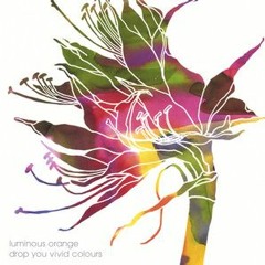 Drop You Vivid Colours - Luminous Orange