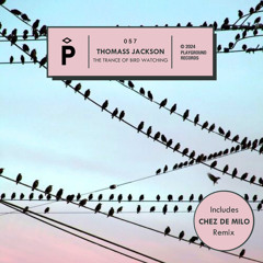 PREMIERE: Thomass Jackson - Atomo (Original Mix) [Playground Records]