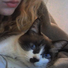 as flores que eu te dei ainda precisam de água (demo)