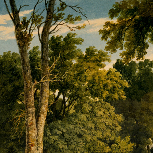 Playlist Treehouse Kingdom 6.4.2023