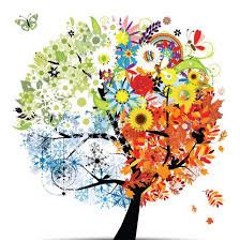 Ecstatic Dance - Transitions