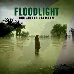 Lowr & Kit Rice - Faded [Floodlight Charity LP]