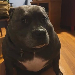 Electric House Radio (Chris’s Version) :)