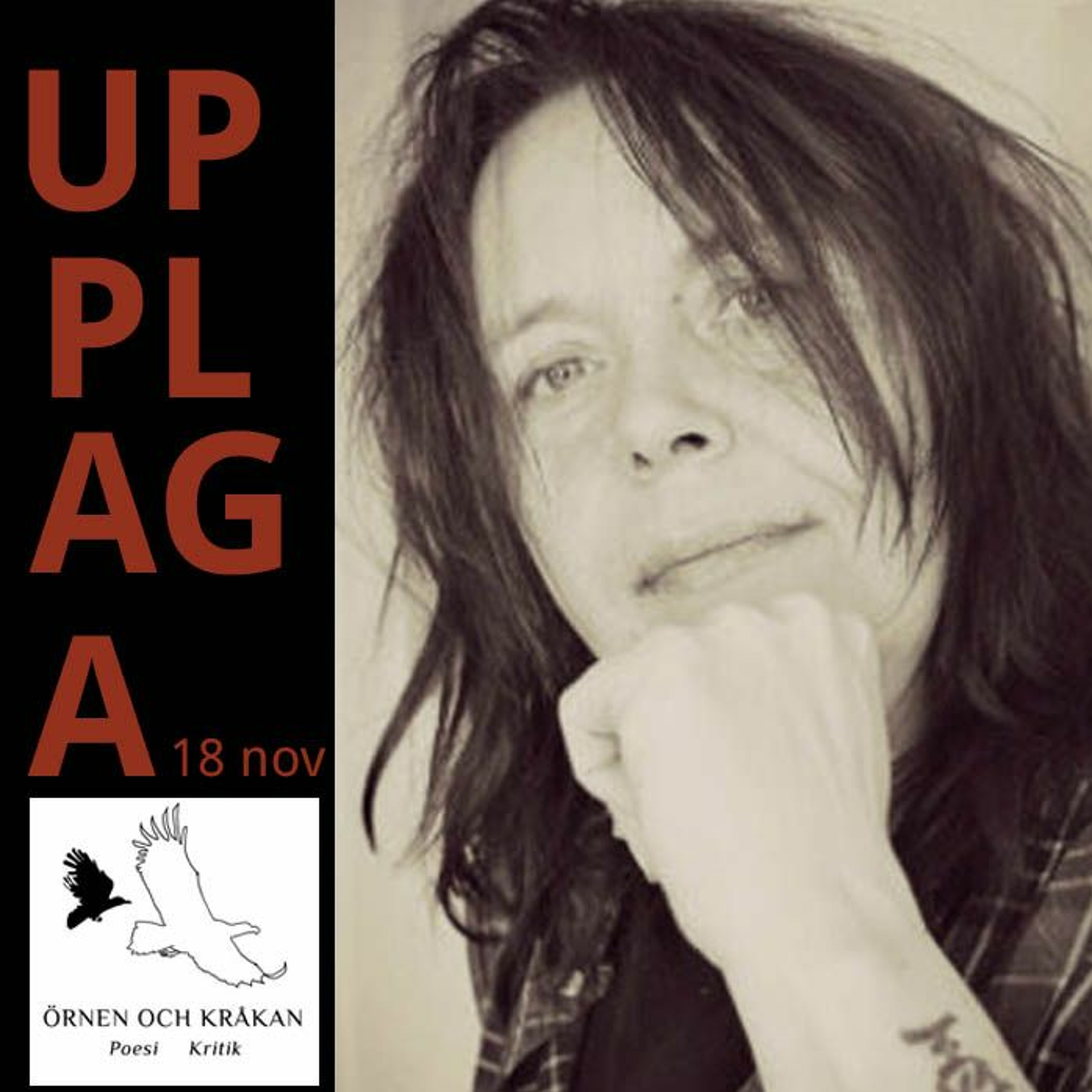 Recension av Cecilia Perssons diktsamling Allt som brinner upp i ett avsked episode artwork